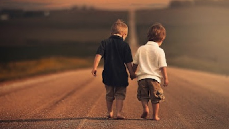 HOMILIES - 14th Sunday of Year C